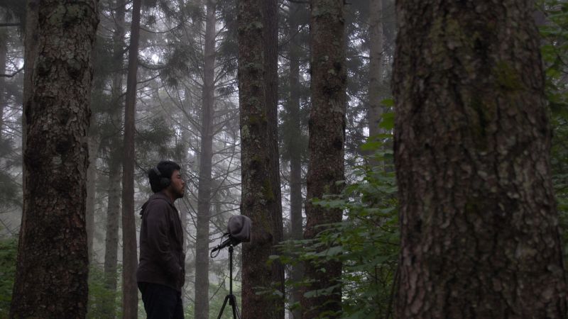 Fichier:Yosi Horikawa background.jpg